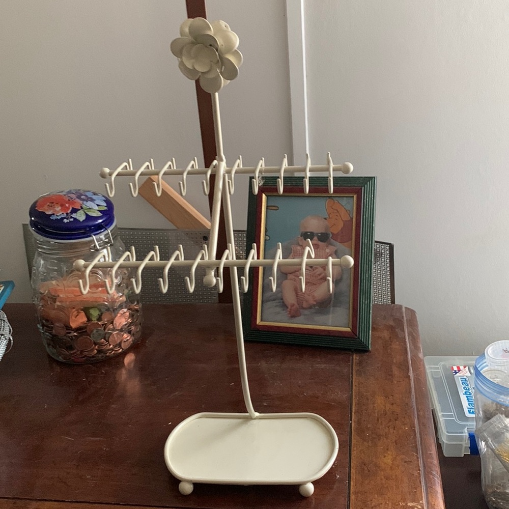 Jewelry holder necklaces and earrings and rings